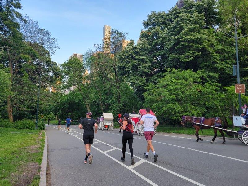 Runners and Horse Carriages in Central Park