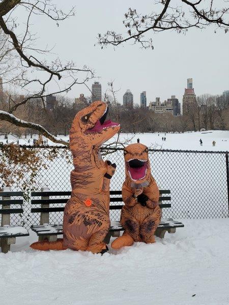 Dinosaur costumes in Central Park in the snow