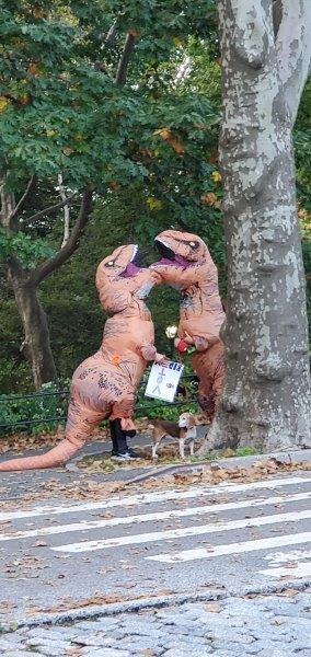 Dinosaur costumes in Central Park  with a Vote sign