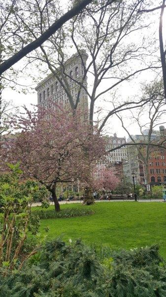 Flatiron Building in the spring