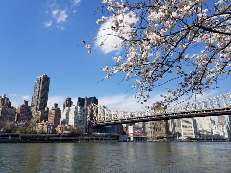 Is New York City an Island? Queensboro bridge connecting Manhattan to Queens