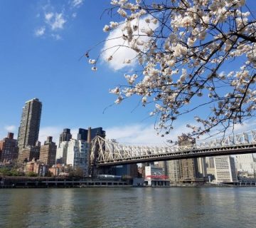 Queensboro Bridge connecting Manhattan and Queens