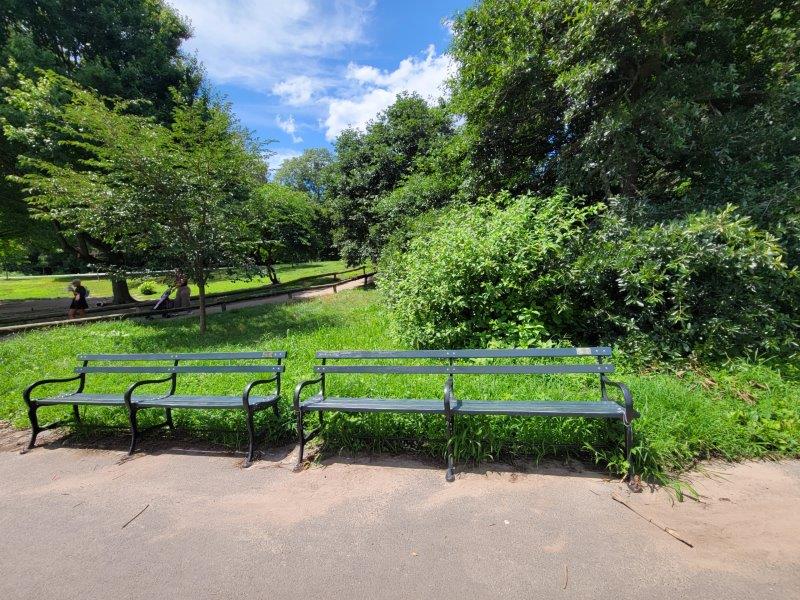 Benches in Prospect Park in Brooklyn