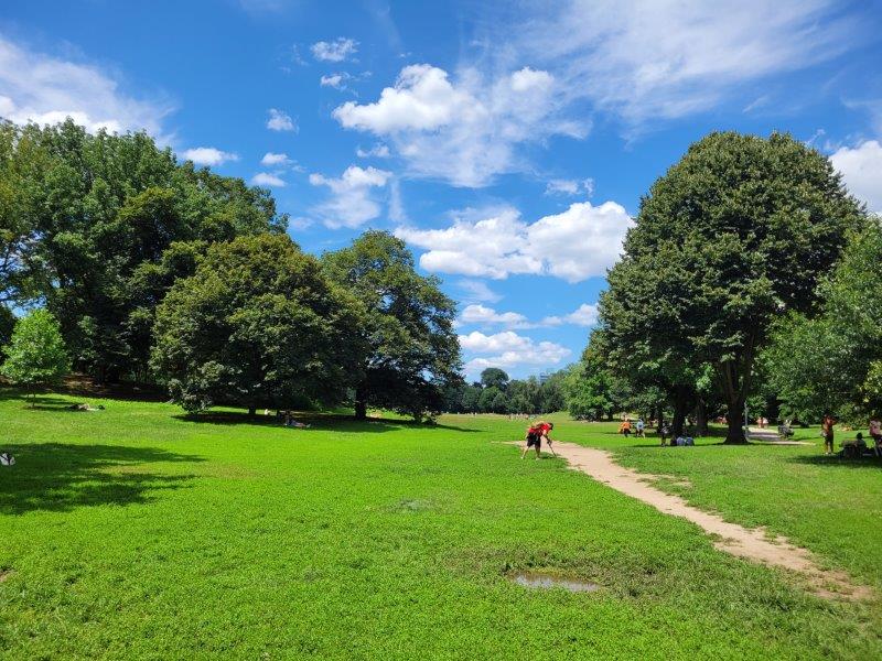 Expansive lawns in Prospect Park in Brooklyn