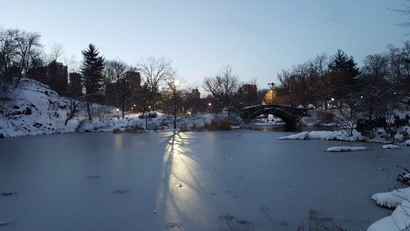 Central Park at Night with shadows over snow covered landscape