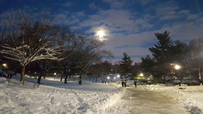 Central Park after a snowfall under the moon