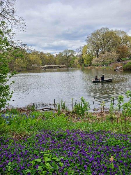 Bow Bridge in the summer with boaters in Central Park Lake 