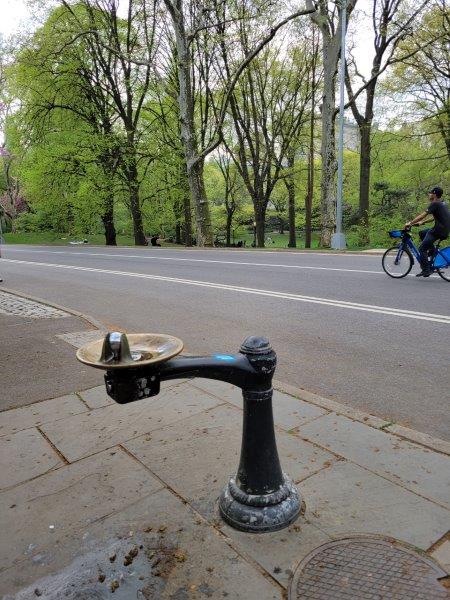 Can You Drink NYC Tap Water? Drinking Water Fountain in Central Park