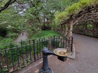 Drinking Water Fountain in Central Park