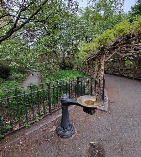 Drinking Water Fountain in Central Park