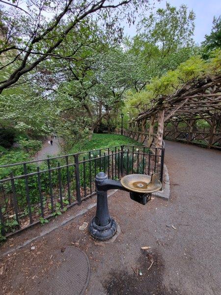 Drinking Water Fountain in Central Park