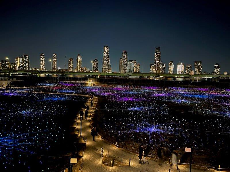 Field of Light NYC exhibit at Freedom Plaza in New York City