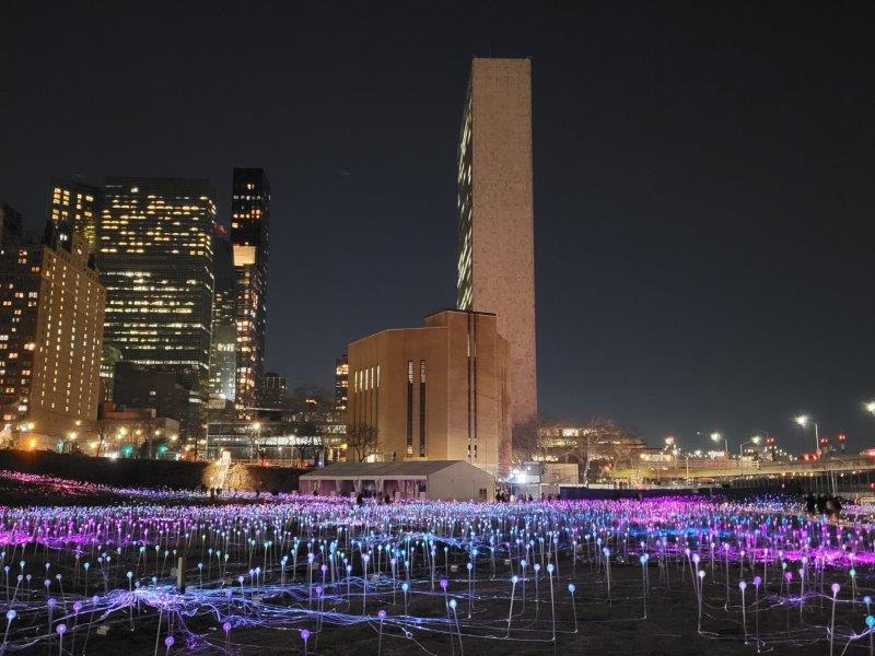 Field of Lights with a backdrop of the UN Headquarters in New York City