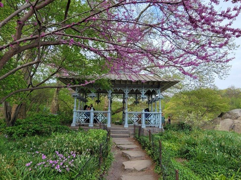 Ladies Pavilion in Central Park