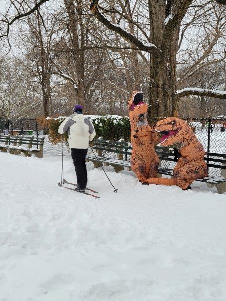 Cross country skiing in Central Park with two people in dinosaur costumes in the background