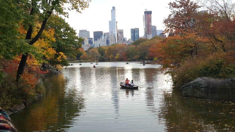 Fall in the park