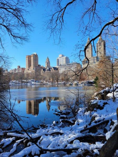 View of Central Park Lake and the Manhattan skyline from the Ramble