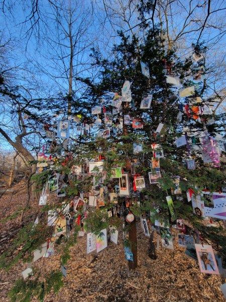 Christmas Tree full of tributes to pets lost by New Yorkers that appears in Central Park in winter