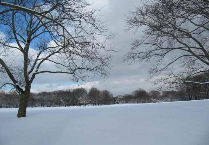 Central Park in Winter