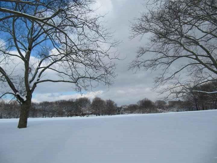 Central Park in Winter