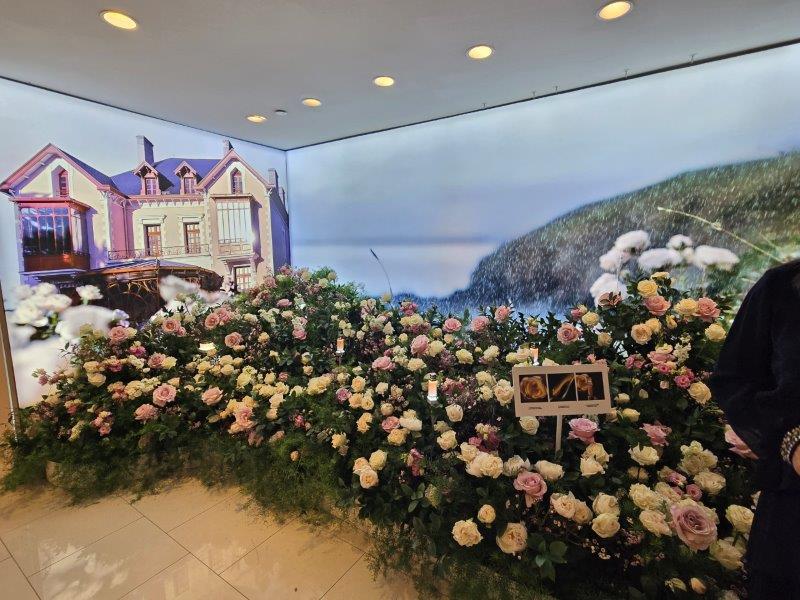 Flower beds full of roses with a coastal backdrop