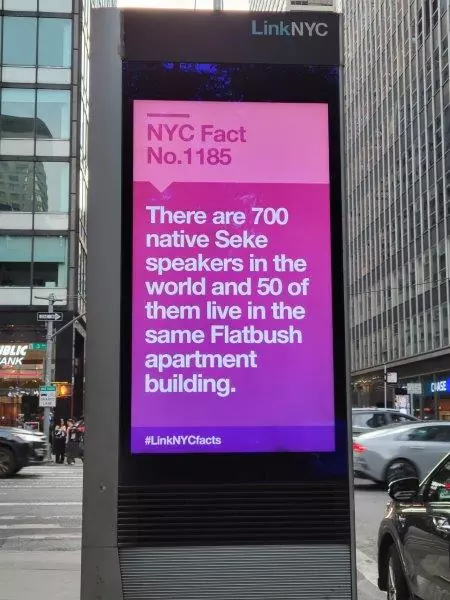 1185 - There are 700 native Seke speakers in the world and 50 of them live in the same Flatbush apartment building