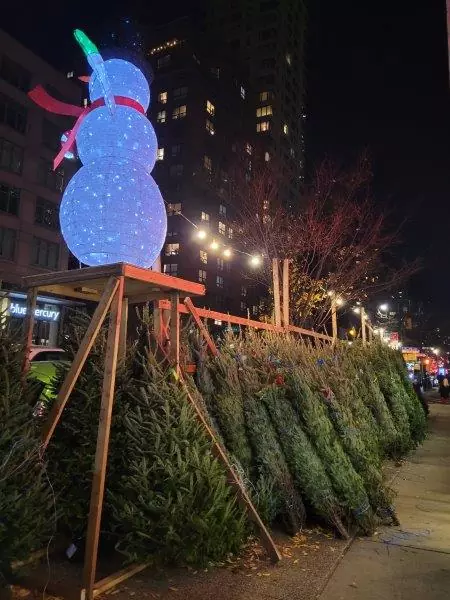 Christmas trees for sale on Manhattan streets